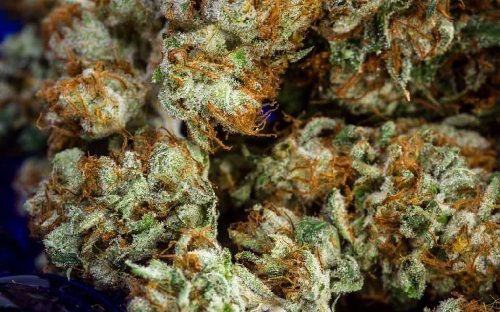 Fast Cannabis Shipping: Trusted U.S Store for 420 Mail Order weed online