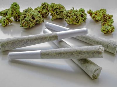 Pre Rolled Joints for Sale Europe – THC & CBD Weed Strains Online