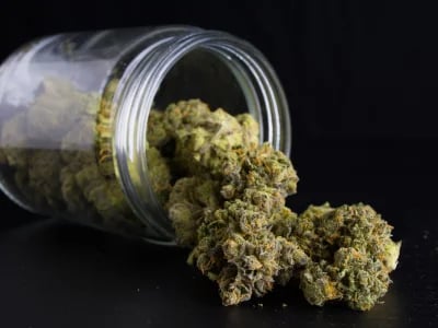 Experience True Quality When You Buy Cannabis Extracts Europe Online