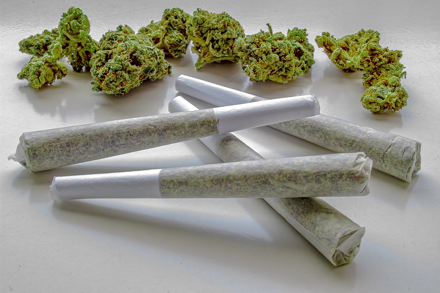 Pre Rolled Joints for Sale Europe – THC & CBD Weed Strains Online